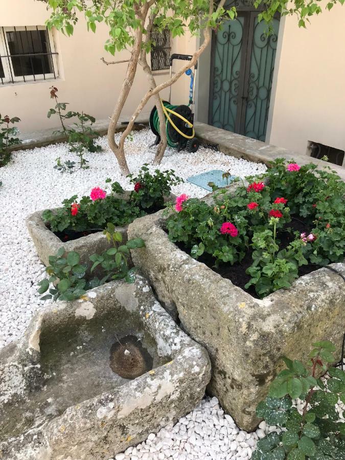 Giardini 82 B&B Gravina in Puglia Exterior photo
